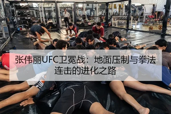 张伟丽UFC卫冕战：地面压制与拳法连击的进化之路